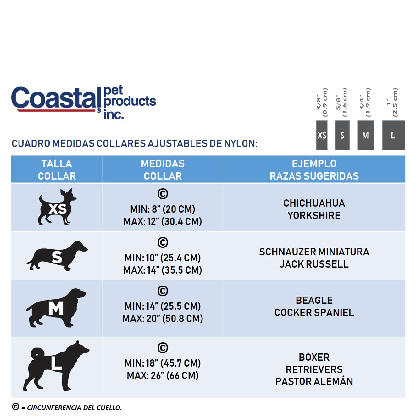 Coastal Correa Medium 3/4" X 1.20 M
