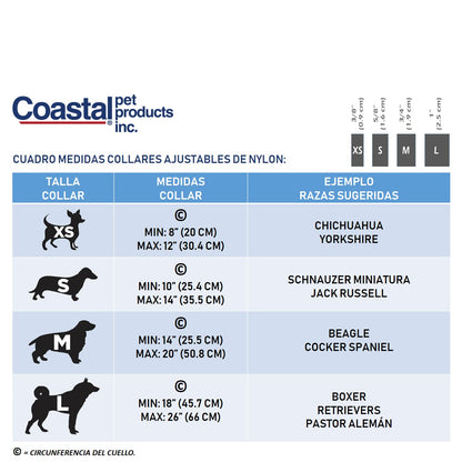 Coastal Correa Medium 3/4" X 1.20 M