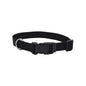 Coastal Correa Nylon XSmall 3/8" X 12"