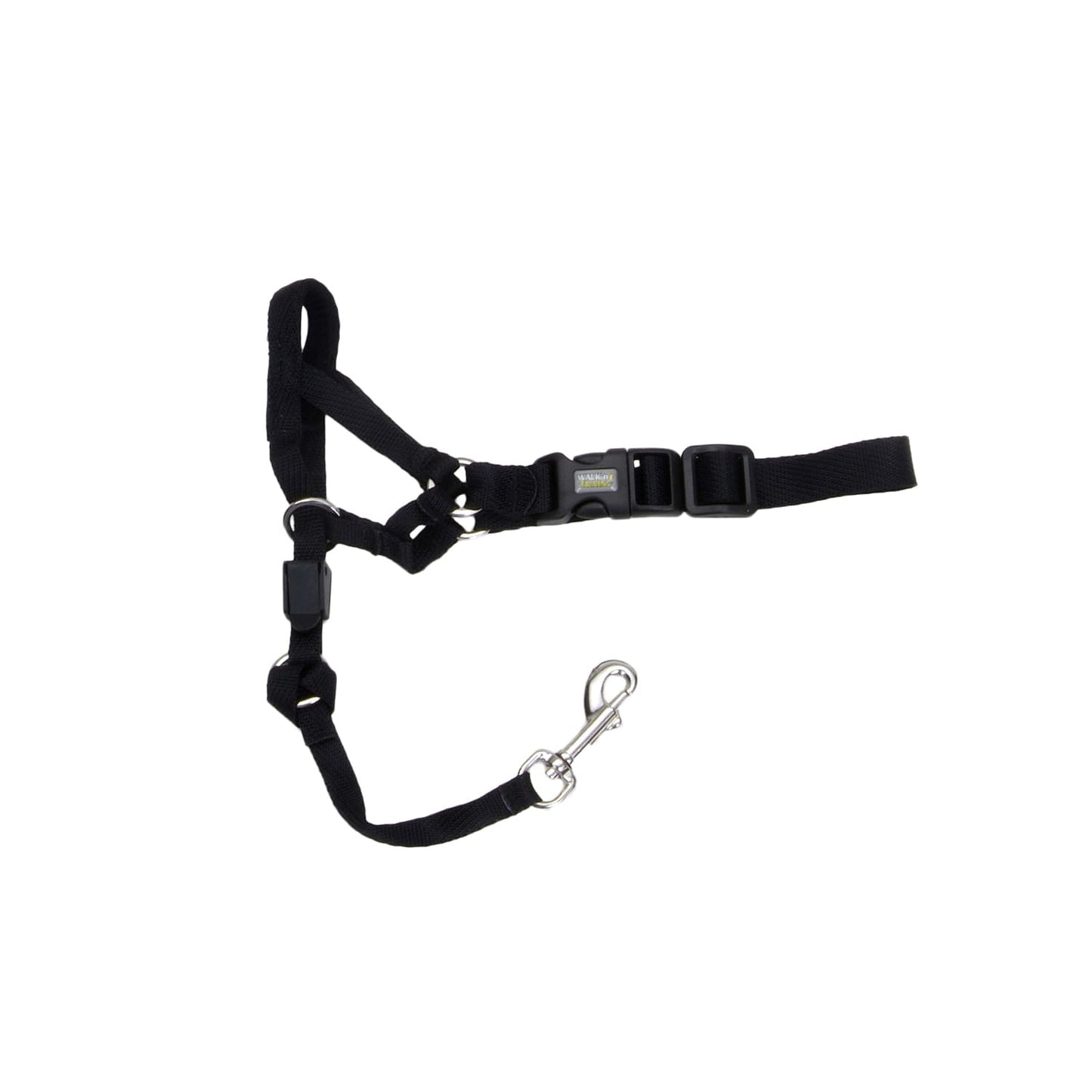 Coastal Bozal Halter Nylon