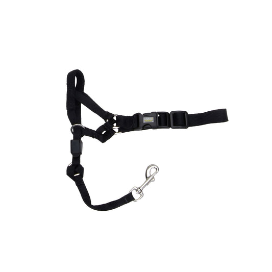 Coastal Bozal Halter Nylon